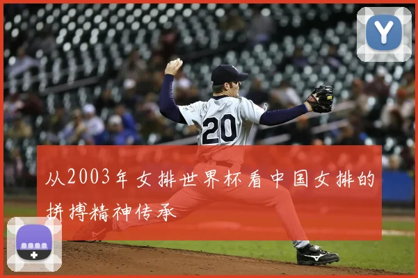 从2003年女排世界杯看中国女排的拼搏精神传承