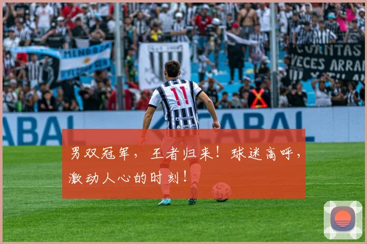 男双冠军,王者归来!球迷高呼,激动人心的时刻!