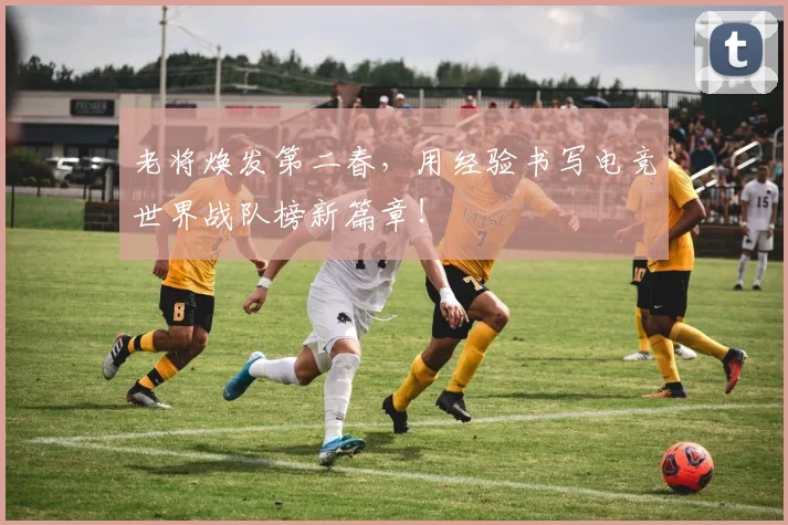 老将焕发第二春,用经验书写电竞世界战队榜新篇章!